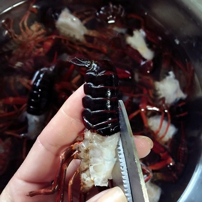 蒜蓉龙虾各种做法,好吃的蒜蓉龙虾做法