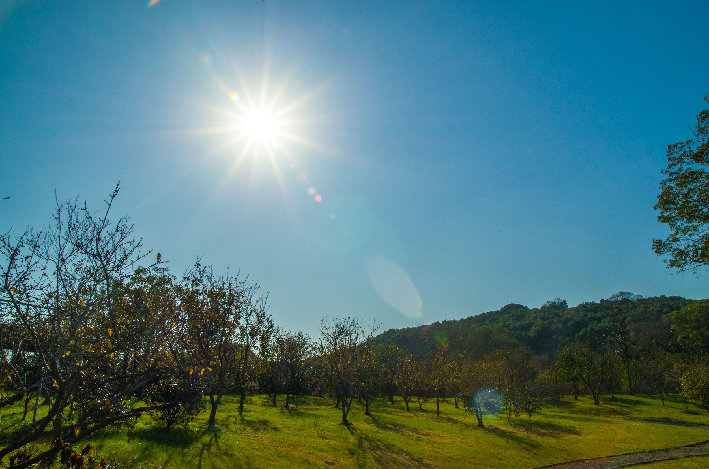 摄影小白推荐相机300左右,拍照好的长焦镜头推荐