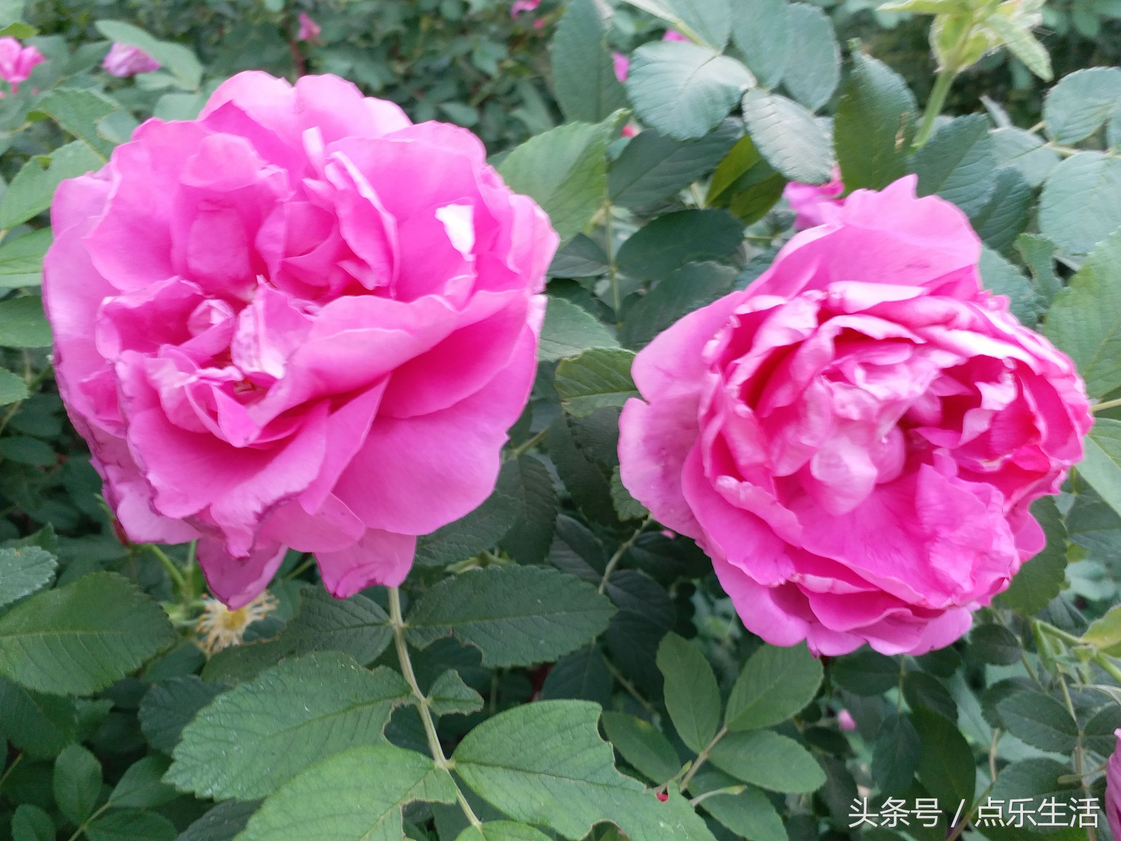 快活一时苦难一世,人活一世历经沧桑