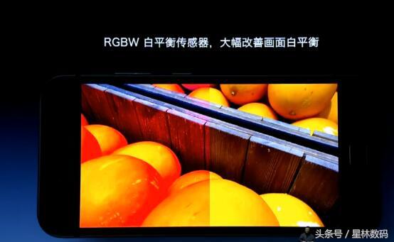 不一样的主题不一样的收获,不一样的主题不一样的乐趣