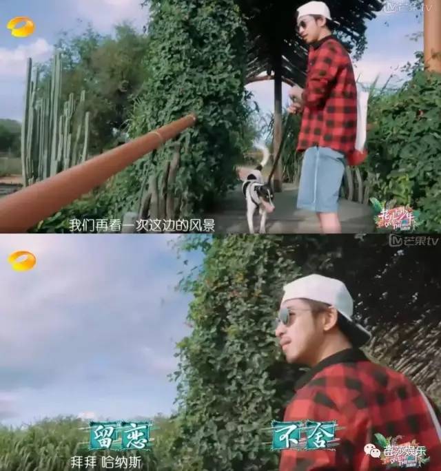 陈柏霖的暖男形象,陈柏霖最佳男友完整版