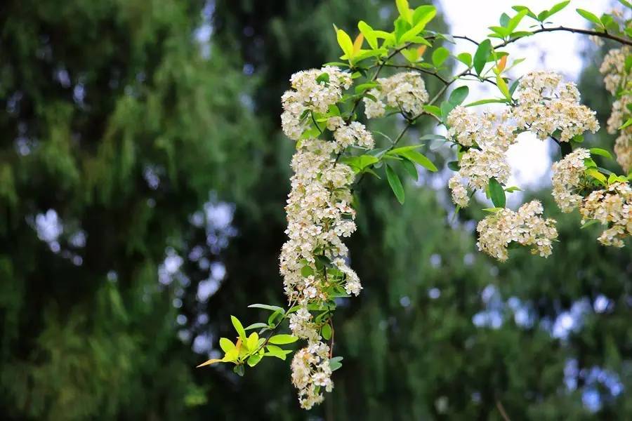 元宝山下,山水云间,悠悠闲云时光,恰好那时我也在
