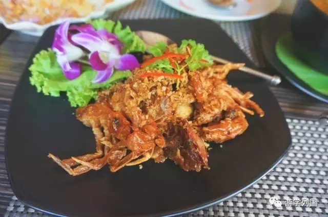 泰国旅行不一样的泰国风情,2024泰国游学之旅