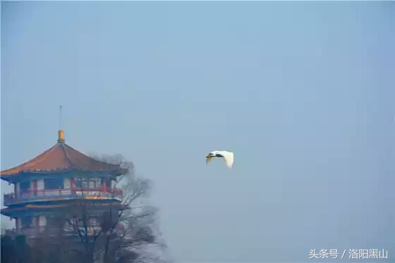 小女人的生活日记,如愿小女人日记