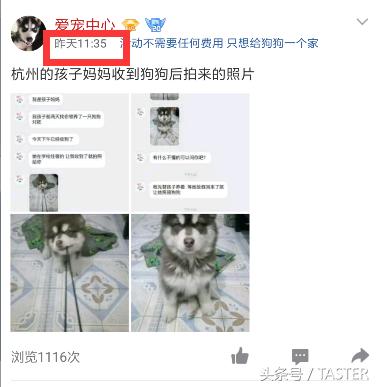 转发说说送小狗?集赞30送樱桃?又到夏天这群*子骗**又来了!