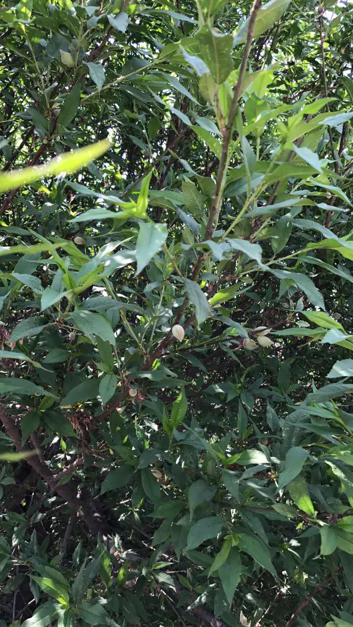 乐海水世界是不是只能夏天去玩,乐海水世界游玩