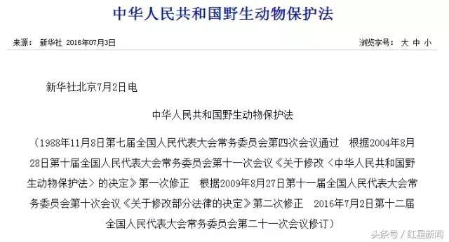 卖鸟被判10年的是什么鸟,养鹦鹉被判刑的案例