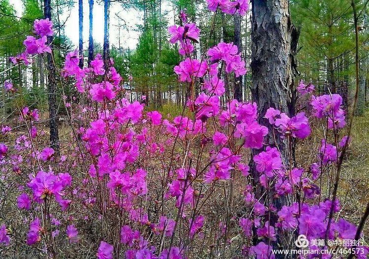 走过四季夏天最美,走过春夏美丽的秋冬