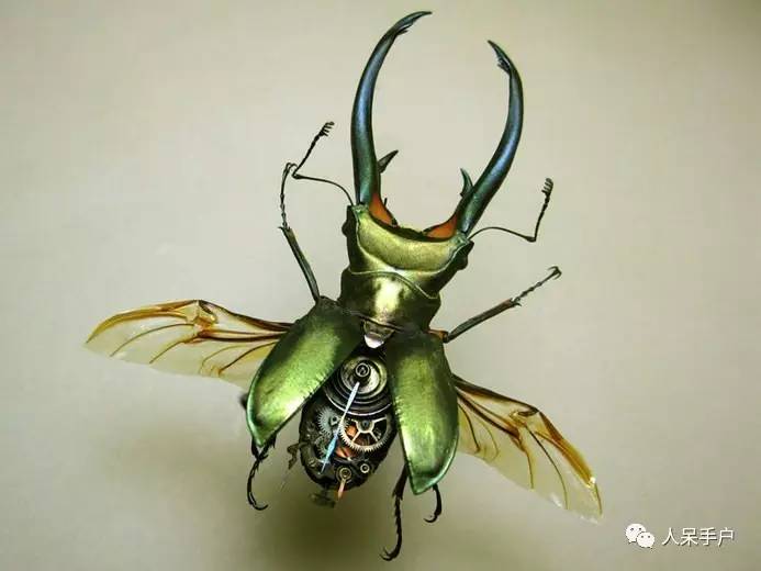 100人民币手工蝴蝶,昆虫大合集手工