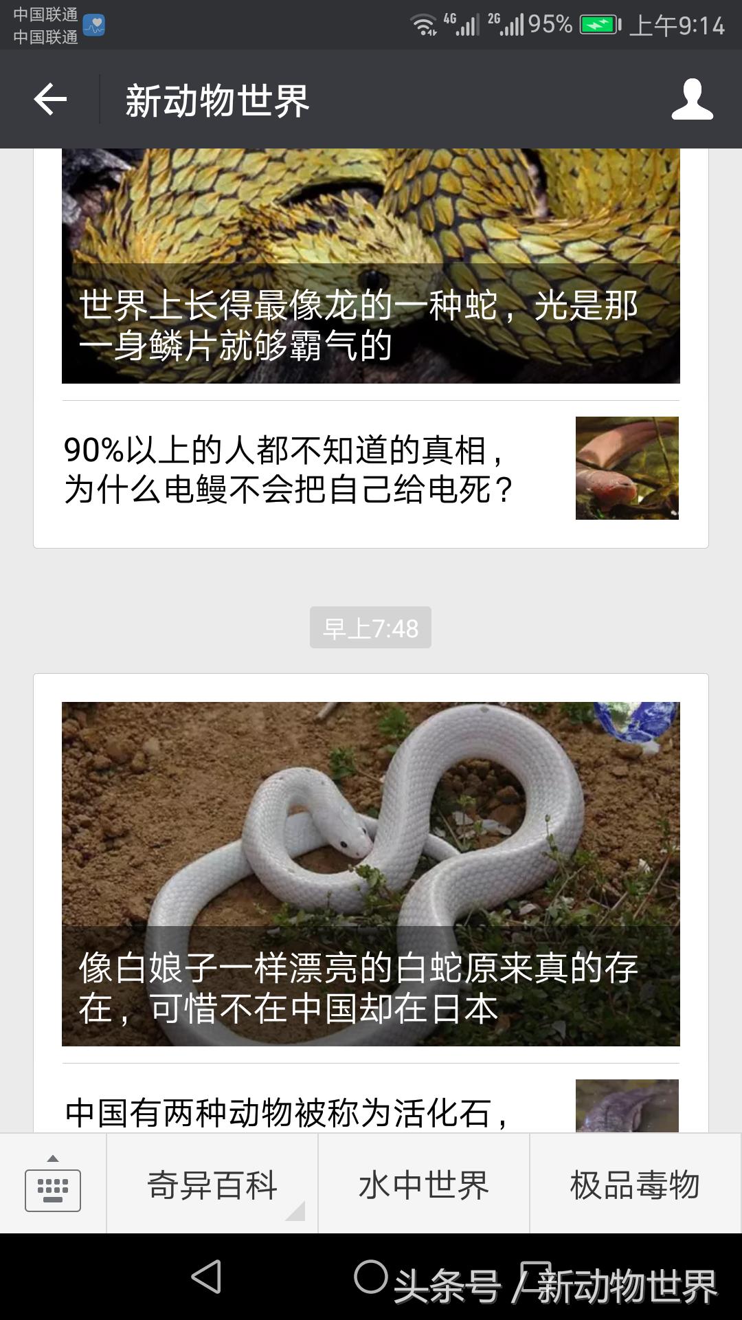 羊是牛科动物还是植物,羊是反刍性动物吗