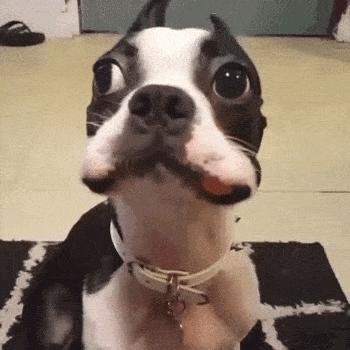 十条笑话到底是什么,劳力士手表段子