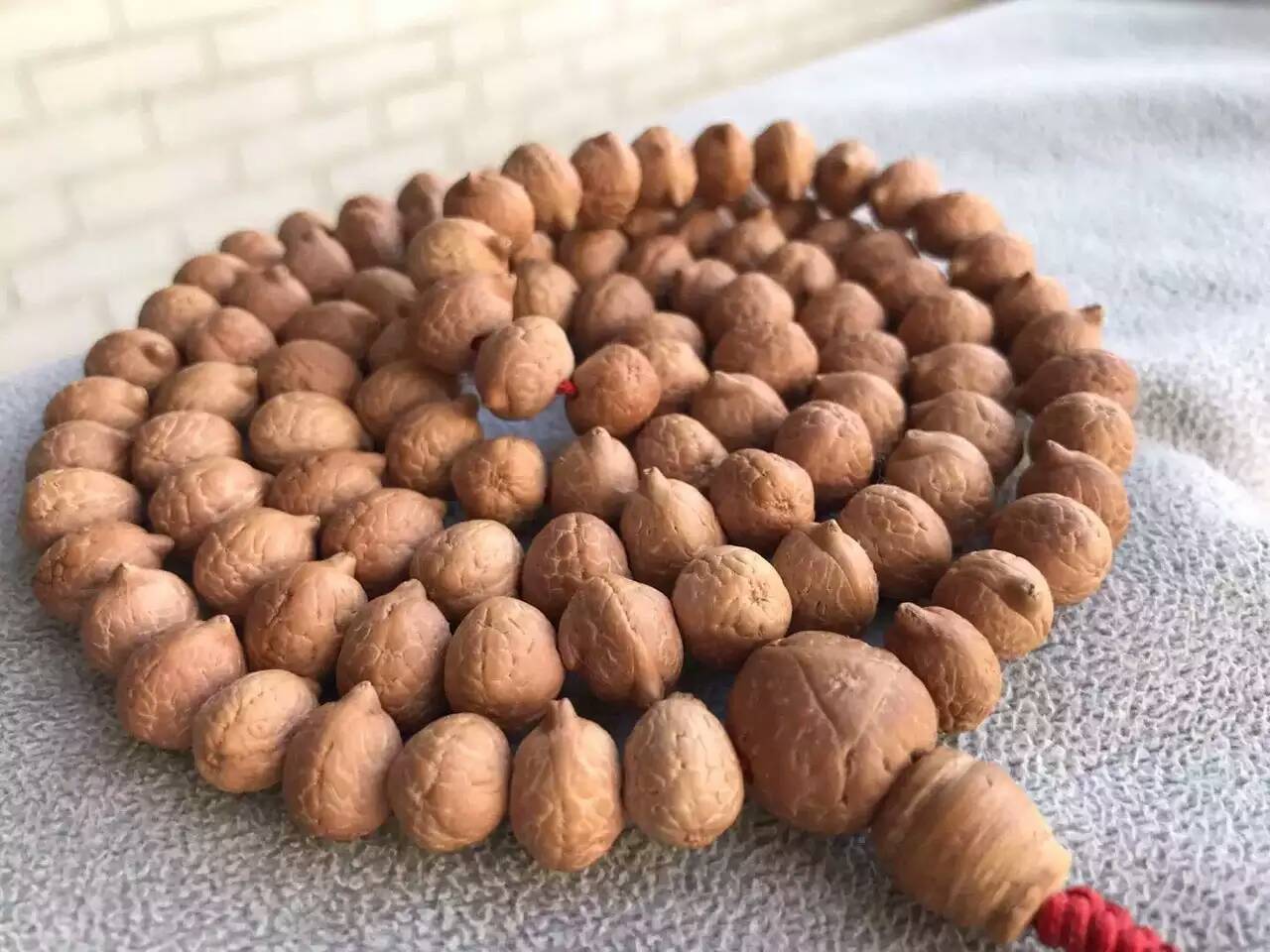 佛教记载的凤眼菩提,凤眼菩提佛教含义