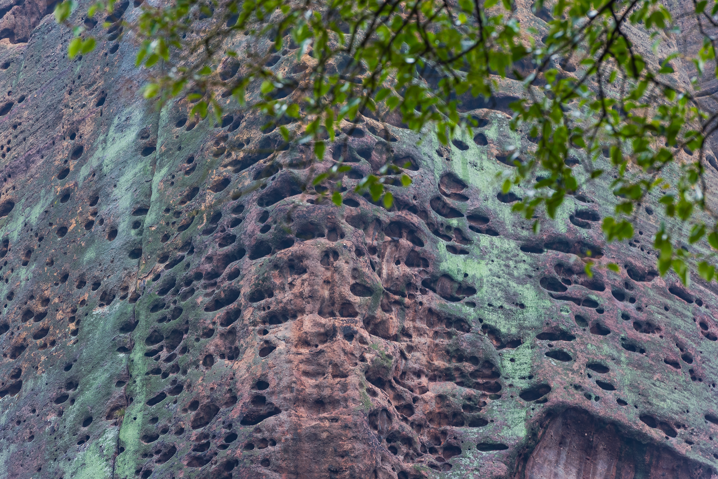 龟峰，创世之神为什么把乌龟的形象封存在这里