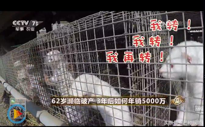 2017年最能赚钱的项目,怎么挣钱创业项目