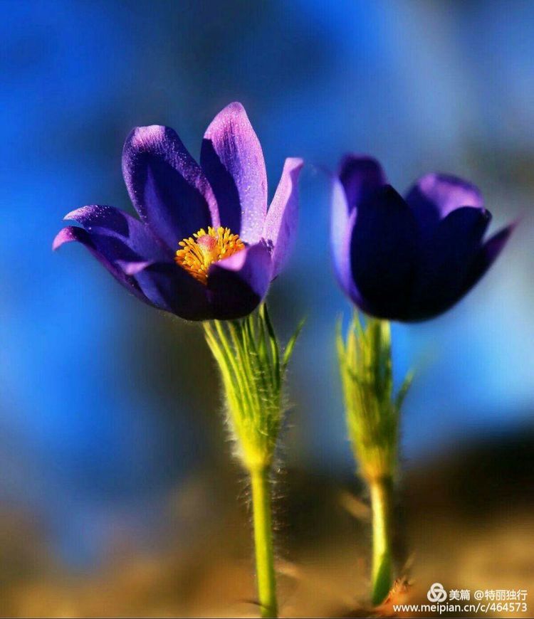 走过四季夏天最美,走过春夏美丽的秋冬