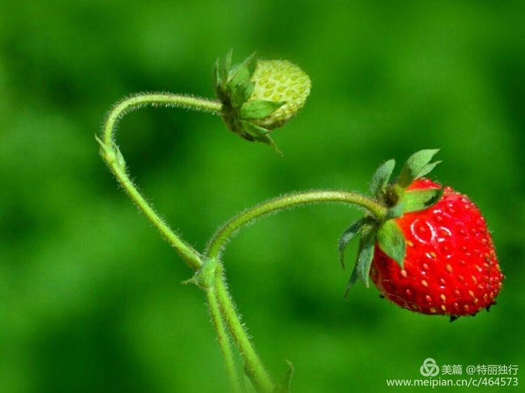 走过四季夏天最美,走过春夏美丽的秋冬