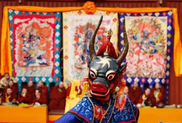 烤全羊、青稞酒、酥油茶，去*藏西**体验神秘的藏历新年，扎西德勒！