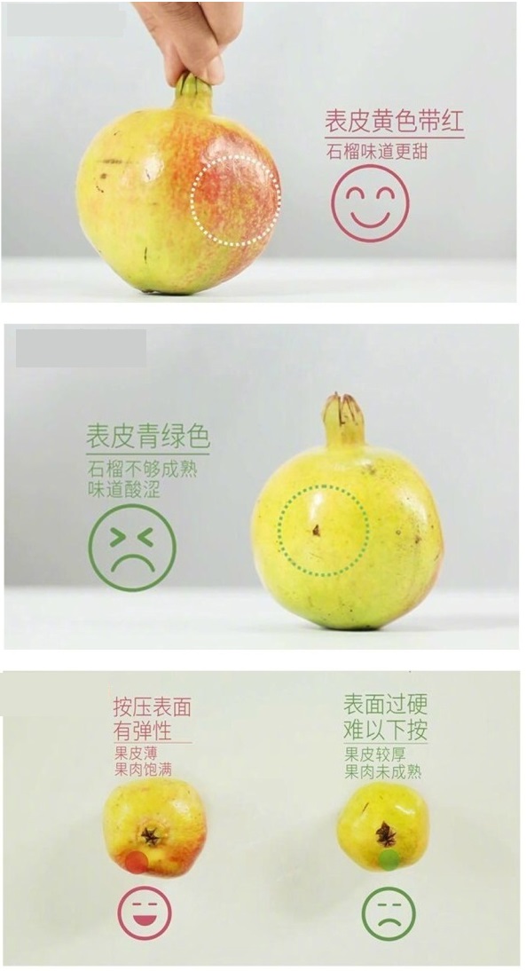 买到了不新鲜的水果怎么办,卖不掉的水果怎么处理