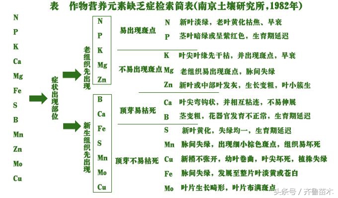 作物营养缺素诊断与科学施肥,农作物缺少营养元素怎么看