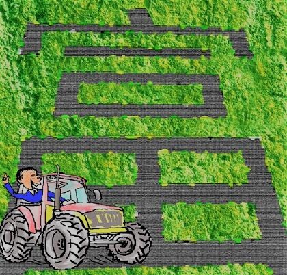 农民养殖致富好项目,农民加工致富项目