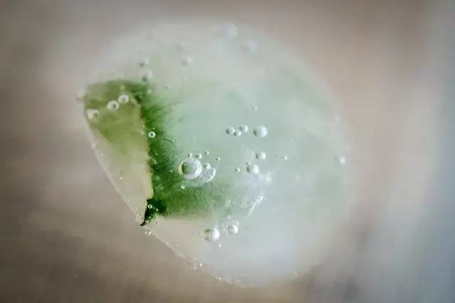 买个玩具5000块,买5000个玩具