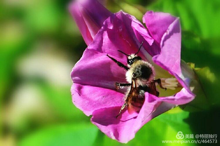 走过四季夏天最美,走过春夏美丽的秋冬