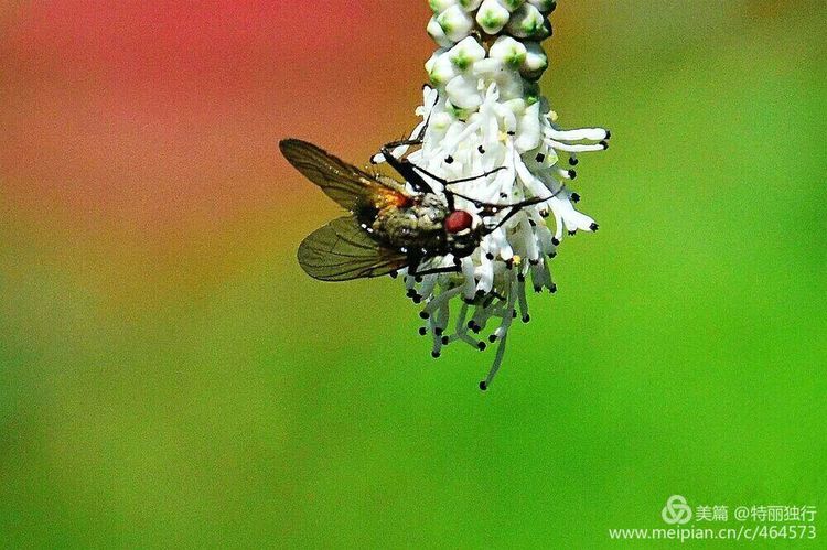 走过四季夏天最美,走过春夏美丽的秋冬