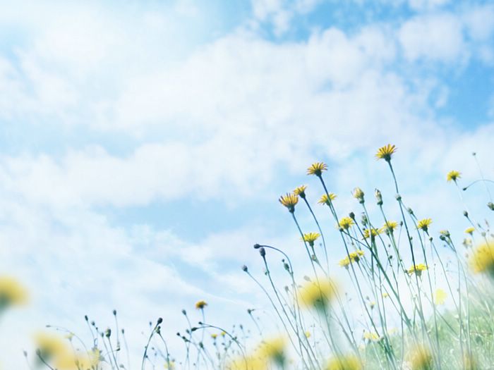 静电鱼,静电鱼运动视频