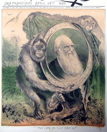 达尔文的进化论最出名的话,为何那么多人怀疑达尔文的进化论