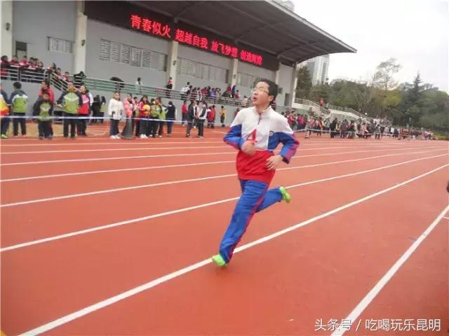 再见了龙狮城,再见了八年级