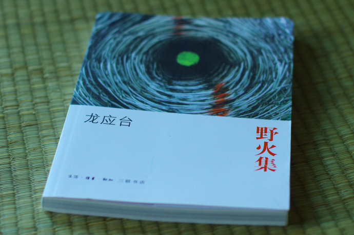 龙应台的书哪本最值得看,龙应台写了多少书