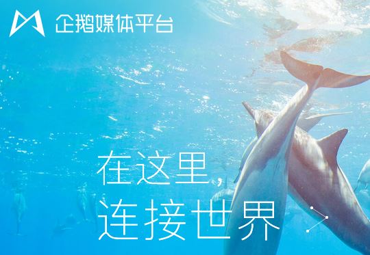 十大收益最好的自媒体平台2021,哪个平台做自媒体收益高最好做