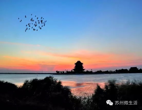 苏州最值得去的五个景点,苏州最值得去的10个景点排名