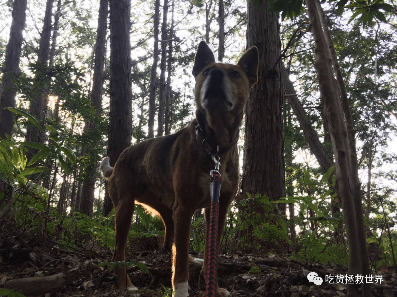 鎴戝湪妯辫姳灏忛晣,鍦ㄦū鑺遍鑸炵殑瀛ｈ妭