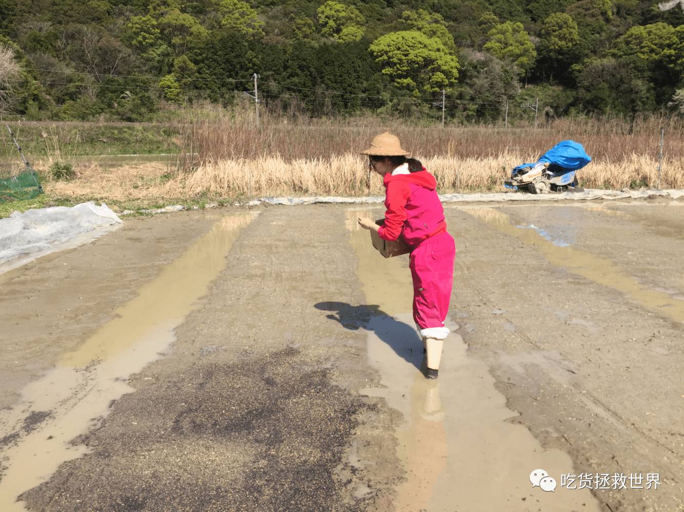 鎴戝湪妯辫姳灏忛晣,鍦ㄦū鑺遍鑸炵殑瀛ｈ妭