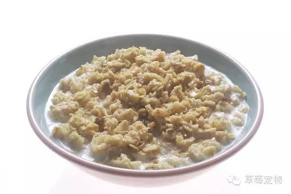 挑食汪星人吃什么,汪星人吃的是什么东西