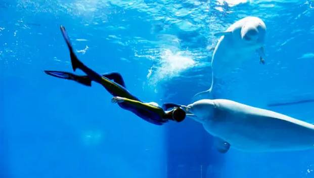 成都有没有哪里能看海,成都有海的地方一天游