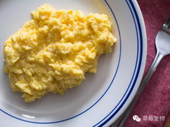 挑食汪星人吃什么,汪星人吃的是什么东西