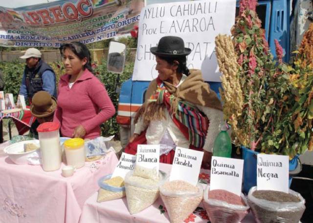 藜麦是炒作出来的吗,藜麦是伪营养吗