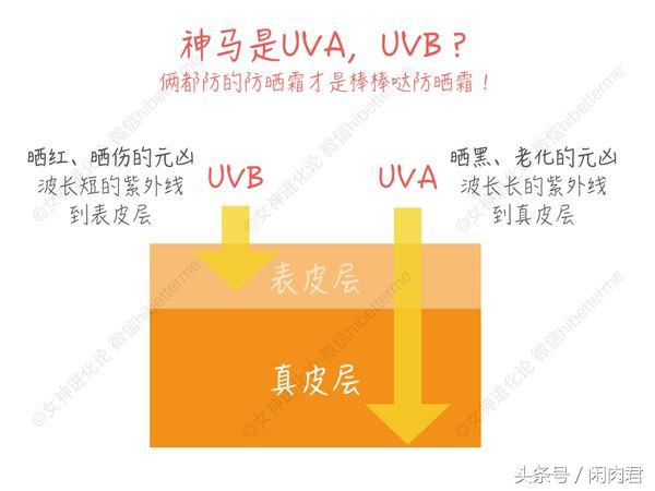 防晒霜真实测评品牌,中等价位防晒霜真实测评