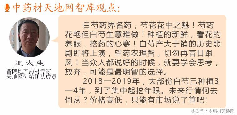 影响白芍价格行情的因素有哪些,白芍最新行情价格是涨还是降
