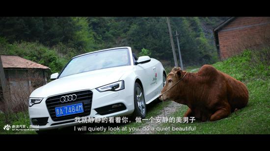 驶向春天歌曲原唱,奥迪a5敞篷版国内上市