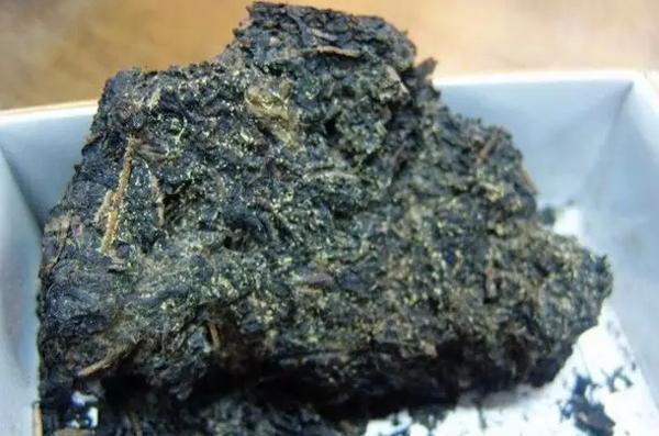 安化黑茶好茶与发霉茶图,如何识别普洱黑茶的好坏