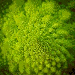 失眠动态图片看了就有睡意,治失眠的图片五秒入睡