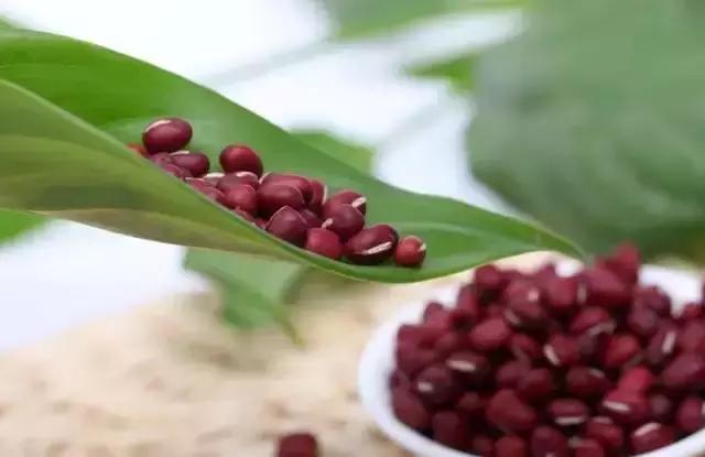红豆有什么功效呢,红豆有什么功效的短视频