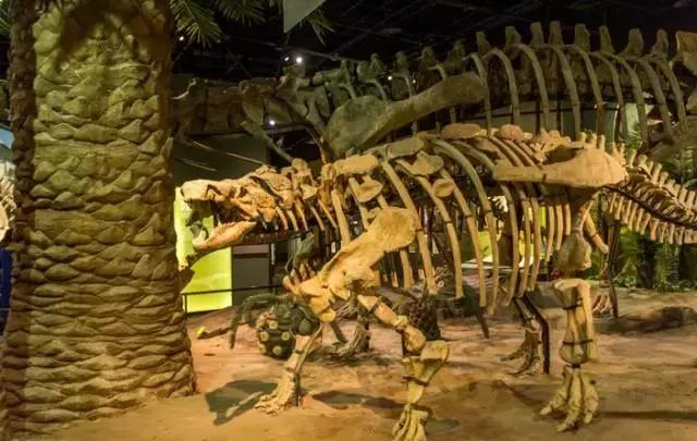 天津值得游玩门票便宜的景点,天津旅游景点门票一览表