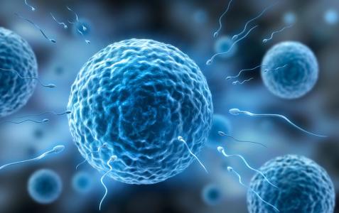 卵泡发育不良艾灸哪里,卵泡发育不良吃避孕药