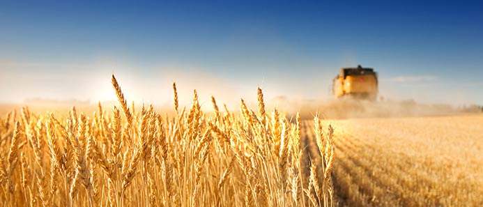 《人民的名义》农机手版：我们的精神一定是要始终健康，不赊账！