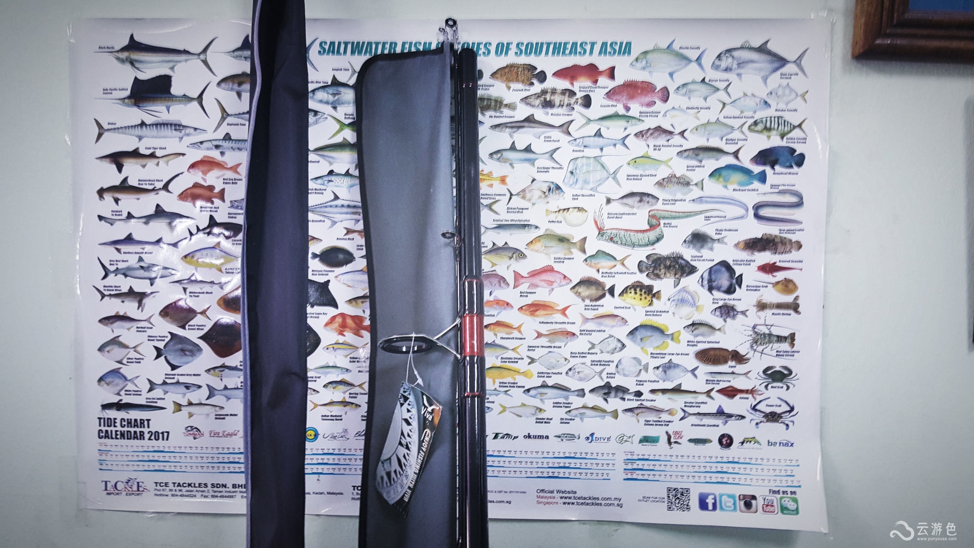 云游精选｜老炮儿带你见识泰国“老官园儿”