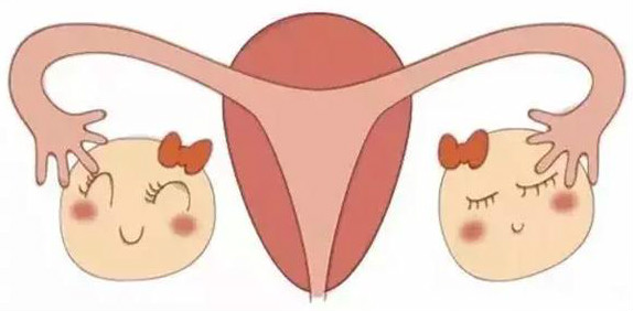 Ta是女人的一个生命过程,当症状来袭时,Ta就是病!